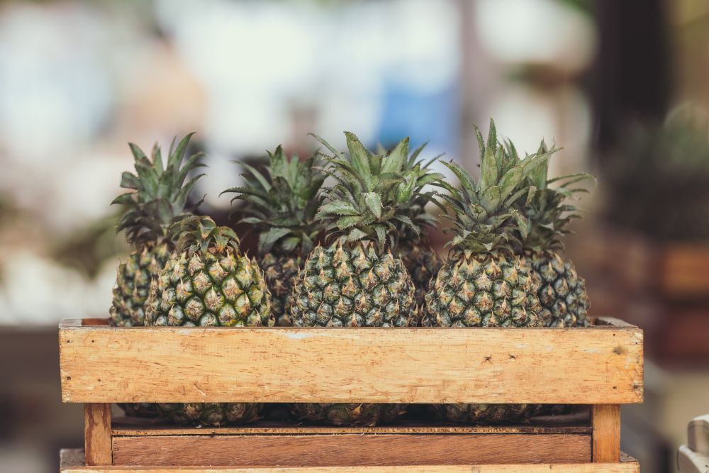 Ananas Frecious Gezond