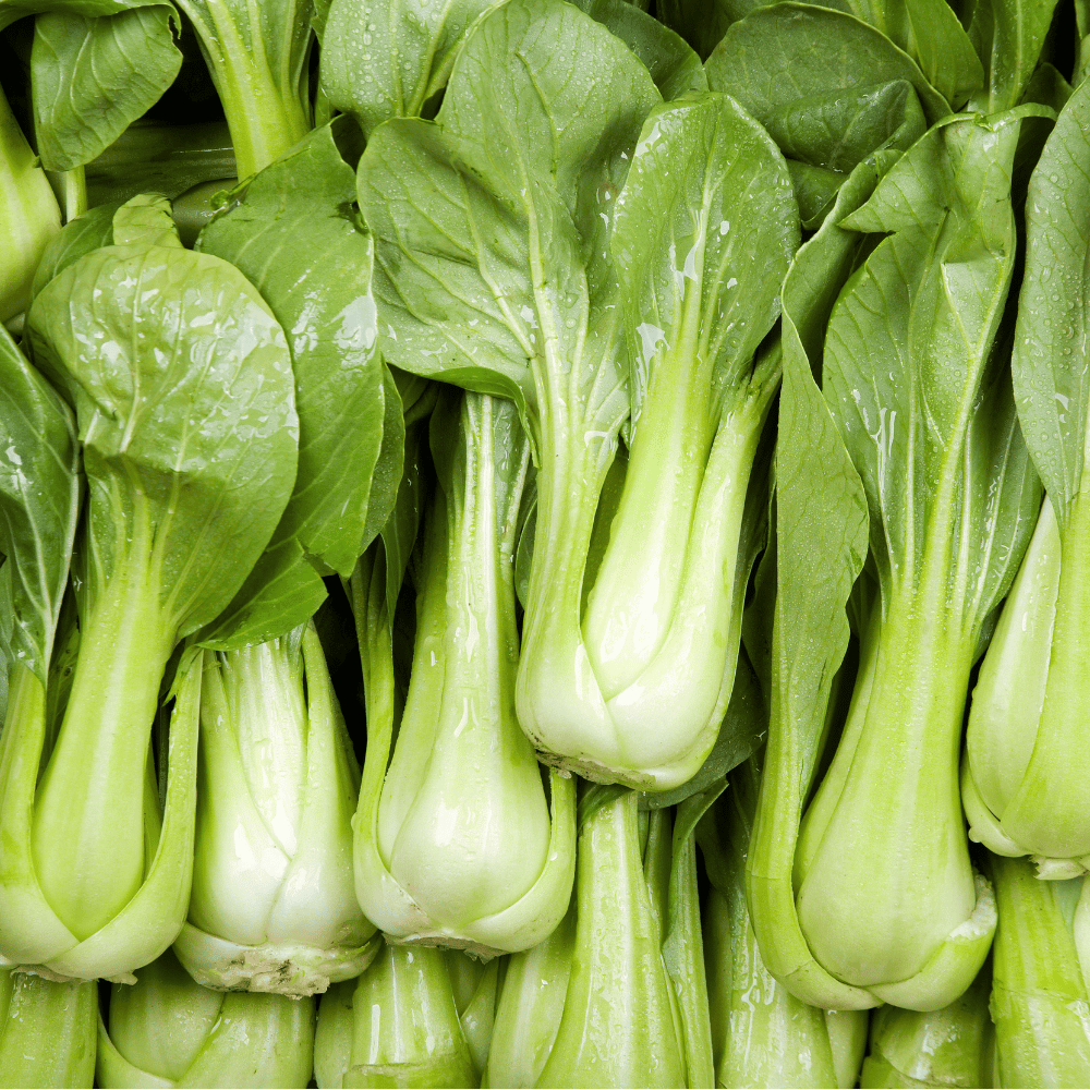 Paksoi