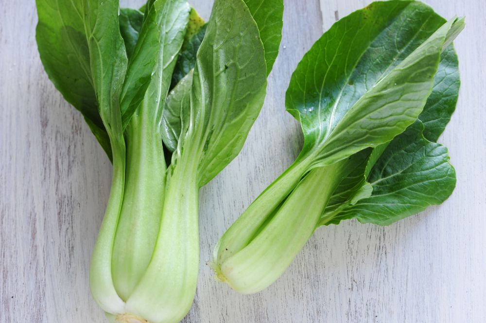 Paksoi