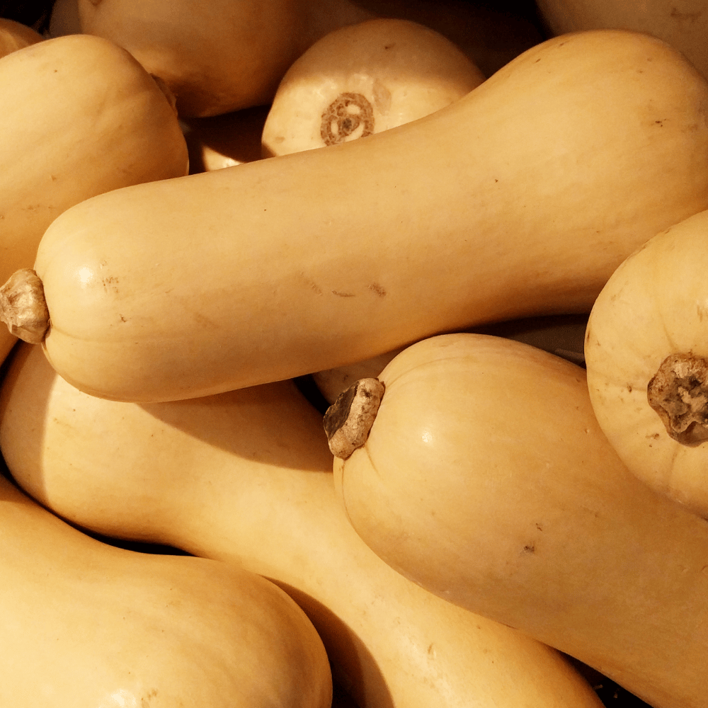 Flespompoen