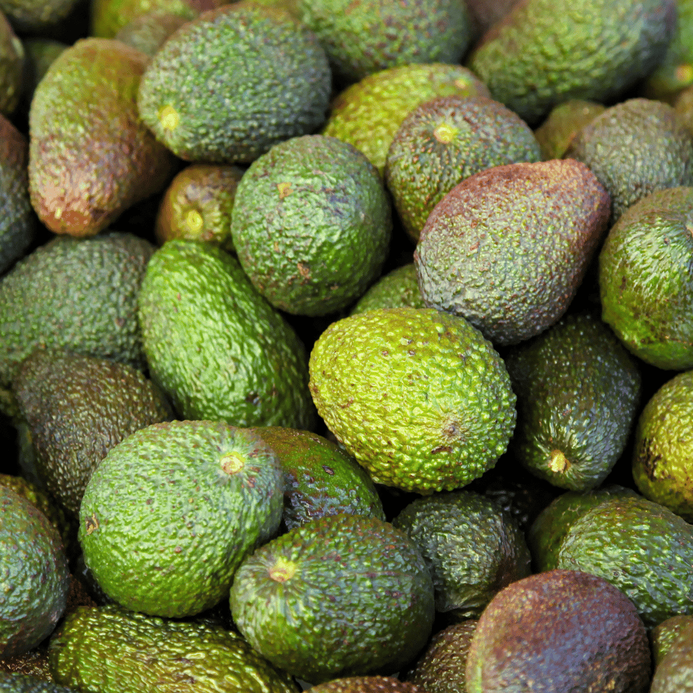 Avocado